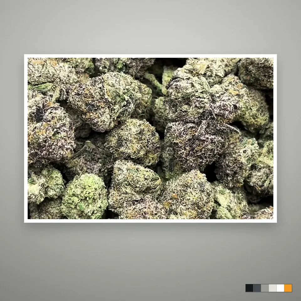 Archive Runtz THCA flower, indoor, the lot as it grades, print on a grey card, lot 1