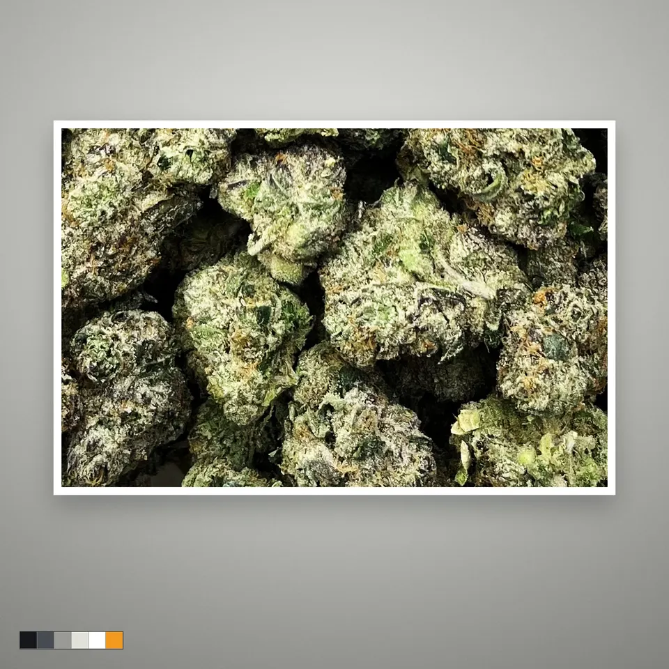 Archive Runtz THCA flower, indoor, the lot as it grades, print on a grey card, lot 2