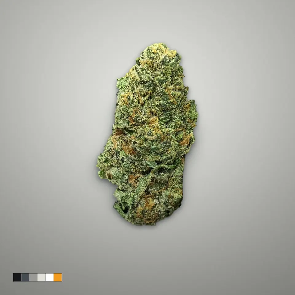 Astro Candy THCA flower, greenhouse, on a grey card