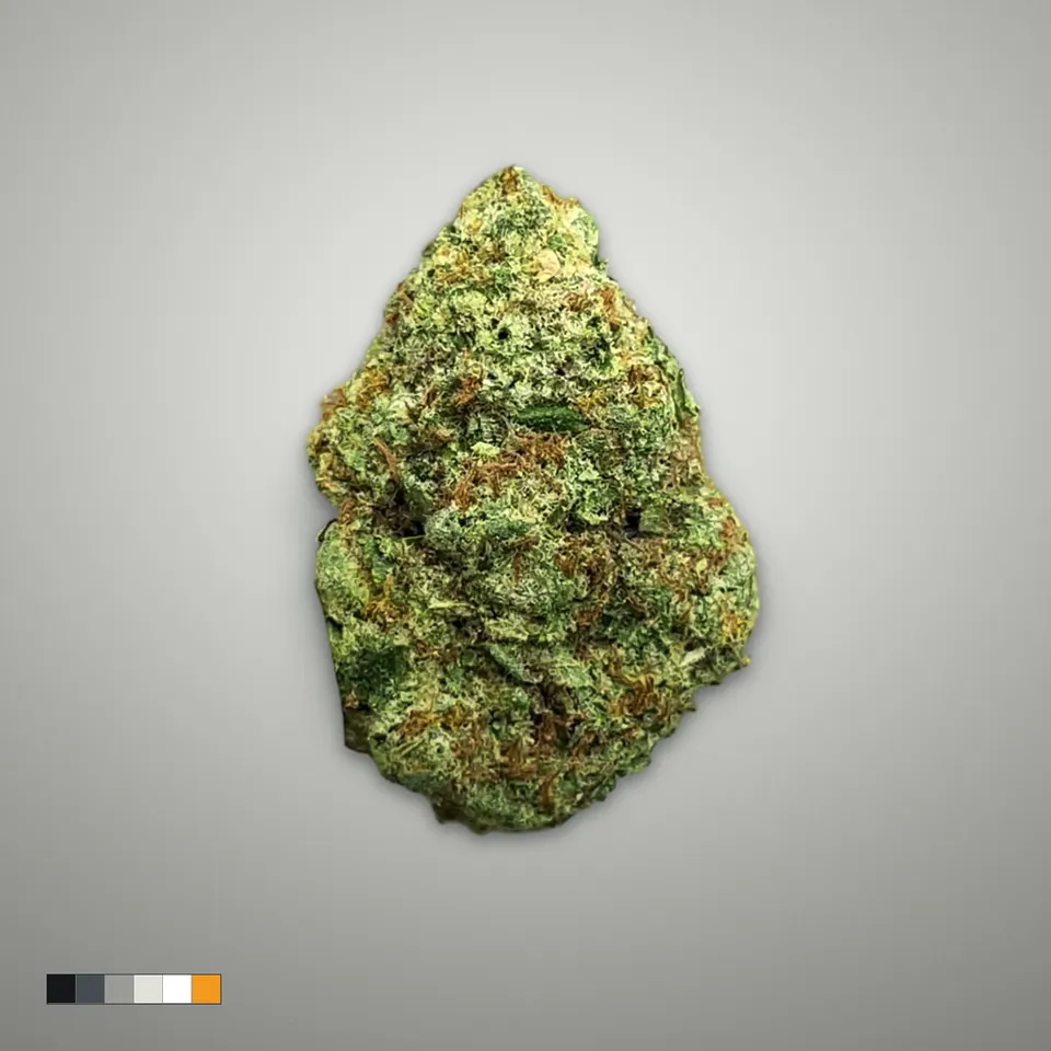 Biscotti Cream THCA flower, greenhouse, on a grey card