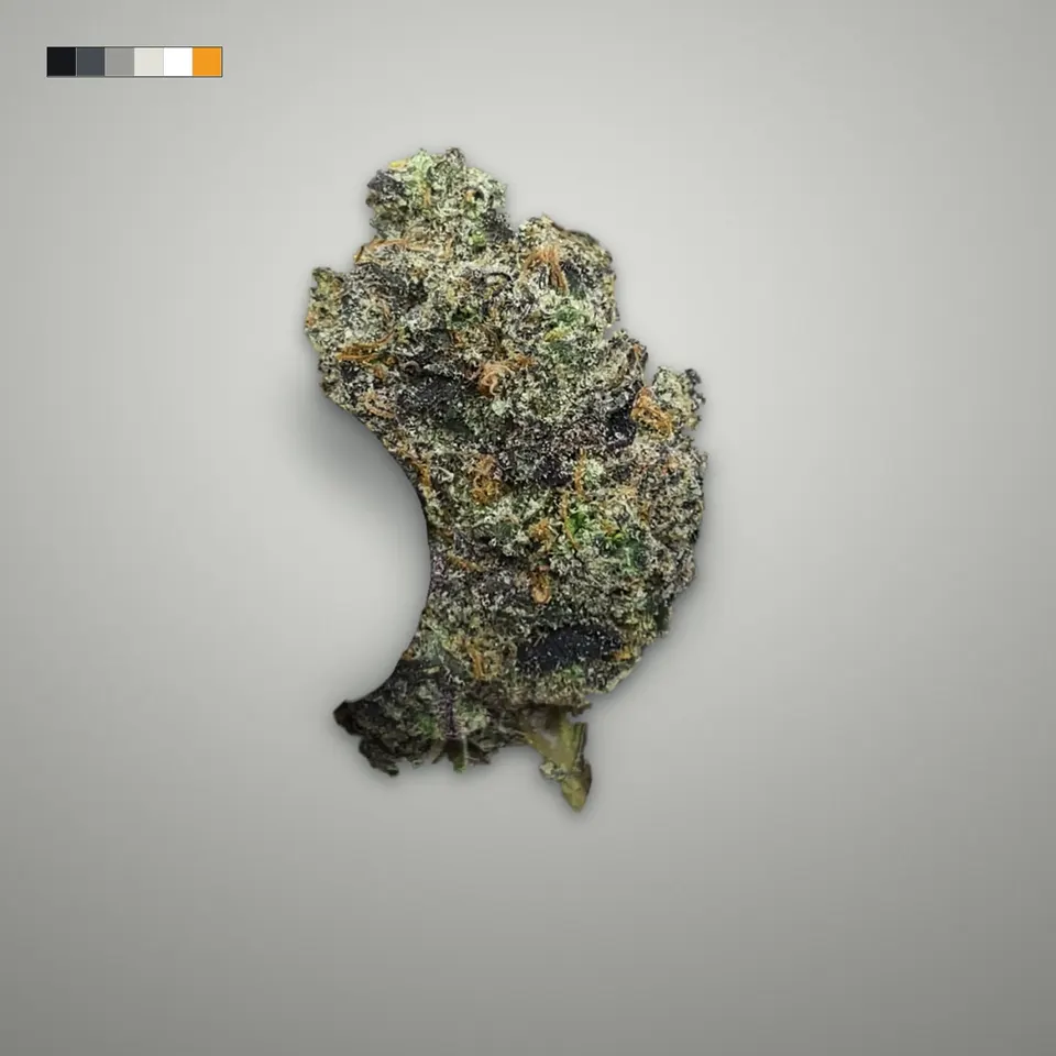 Black Magic THCA flower, greenhouse, on a grey card