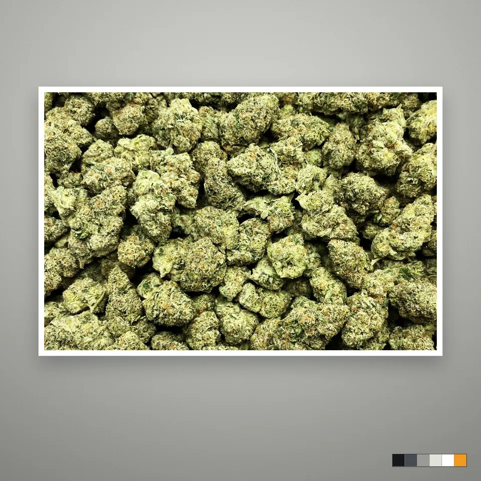 Blue Meteorite THCA flower, greenhouse, the lot as it grades, print on a grey card