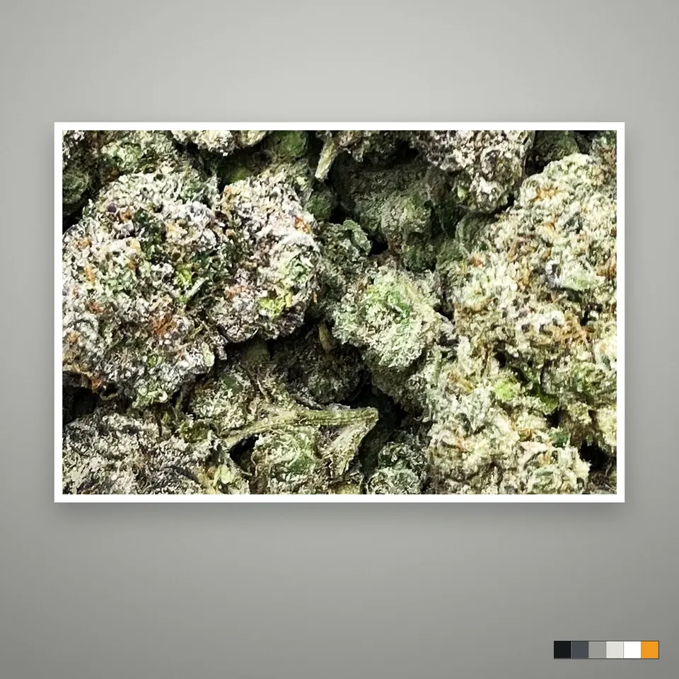 Blue Slushie THCA flower, indoor, the lot as it grades, print on a grey card