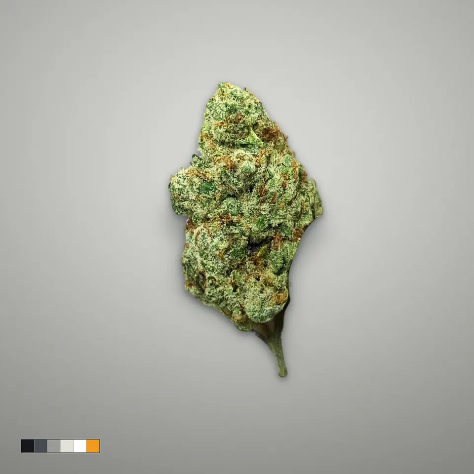 Bubble Bath THCA flower, greenhouse, on a grey card