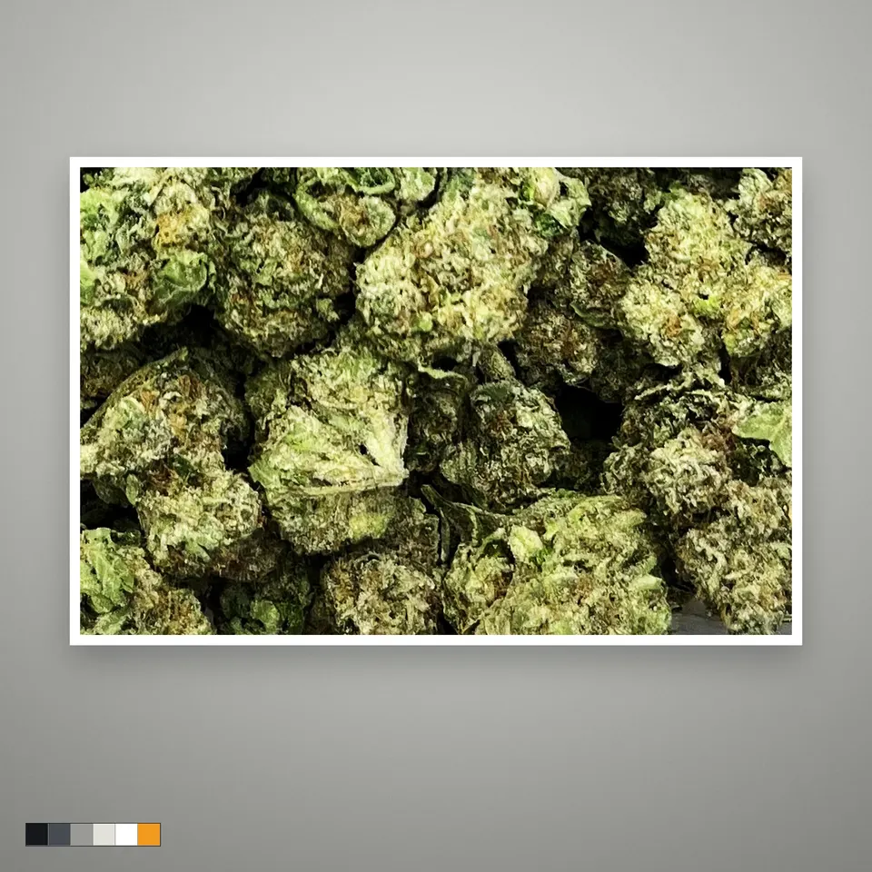 Caked Up Candy THCA flower, greenhouse, the lot as it grades, print on a grey card