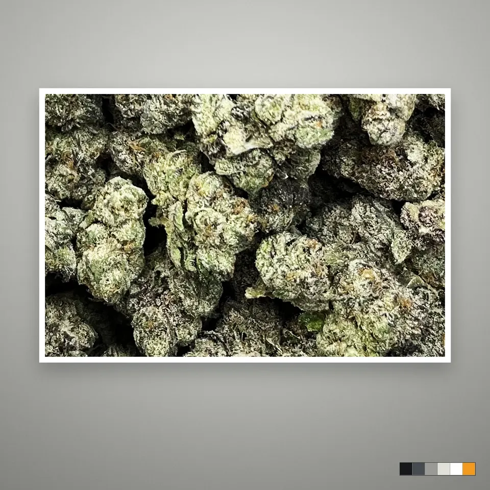 Candy Yamz THCA flower, indoor, the lot as it grades, print on a grey card