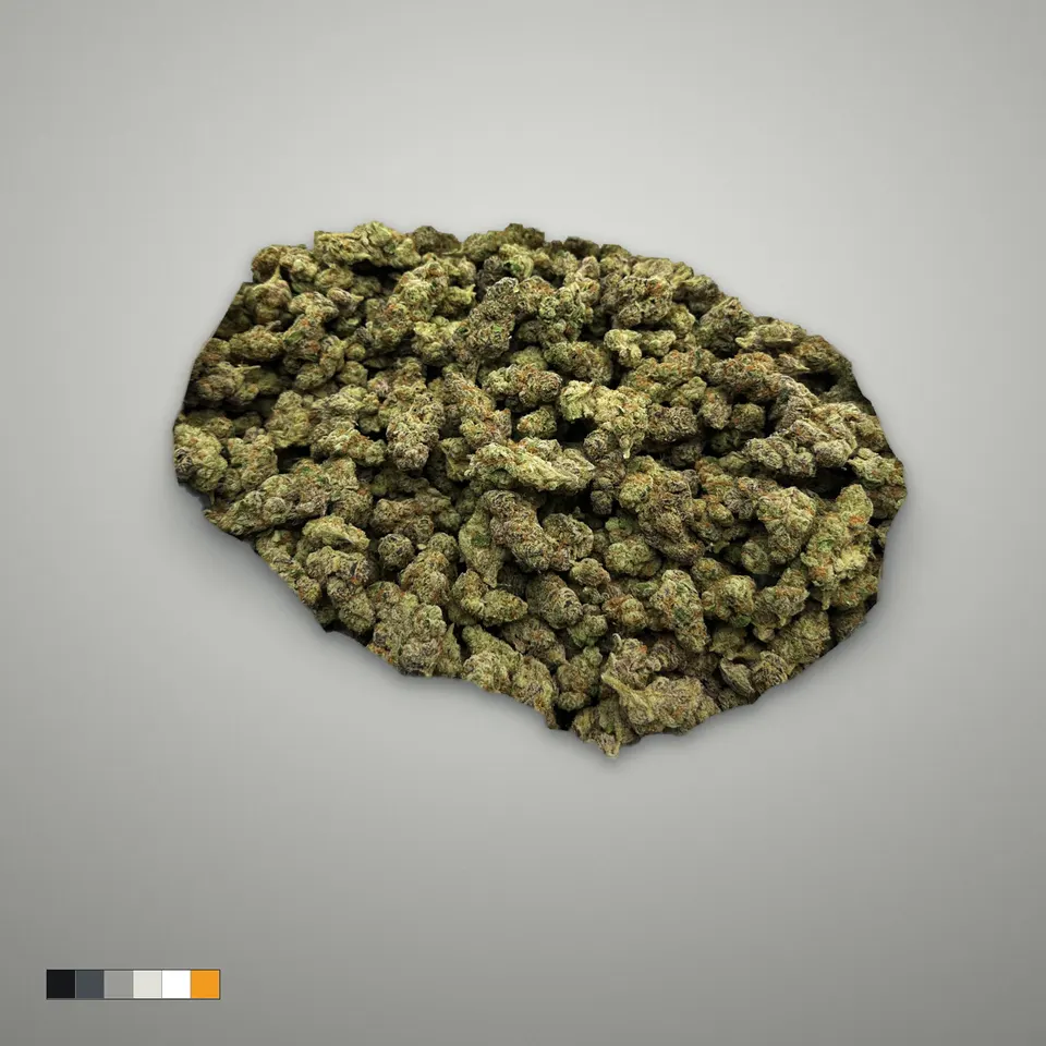 Cherry Cream Float THCA flower, indoor, on a grey card
