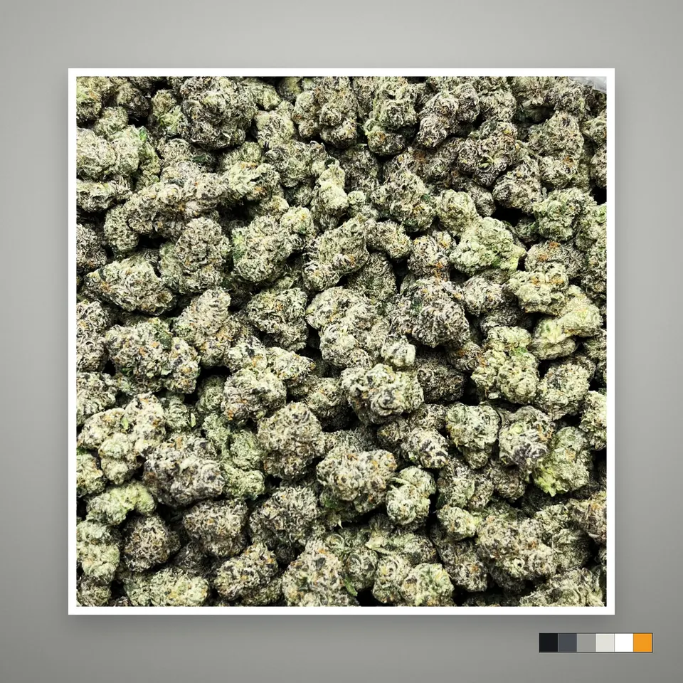 Cherry Slushie THCA flower, indoor, on a grey card, lot 1