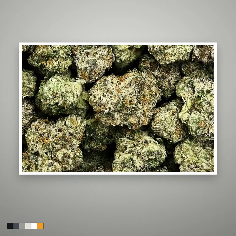 Cherry Slushie THCA flower, indoor, the lot as it grades, print on a grey card, lot 2