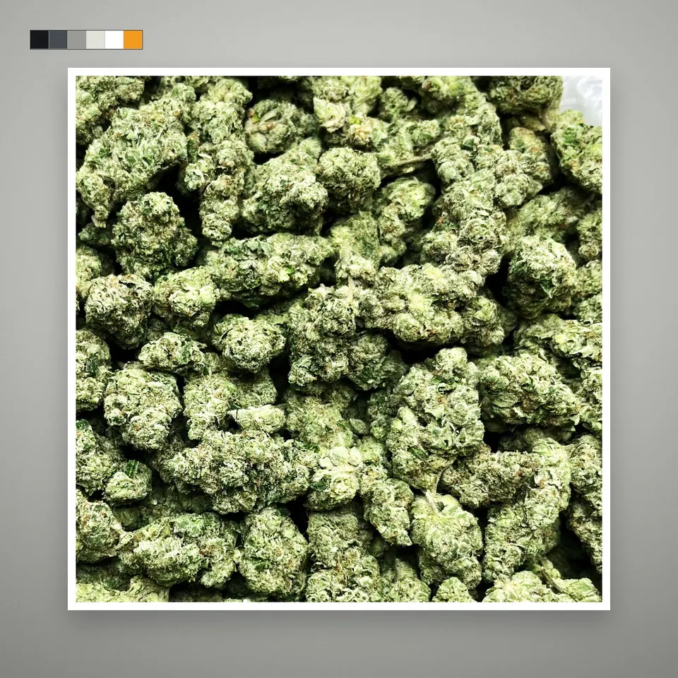 Donny Burger THCA flower, greenhouse, on a grey card