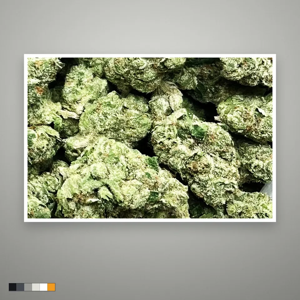 Donny Burger THCA flower, greenhouse, the lot as it grades, print on a grey card
