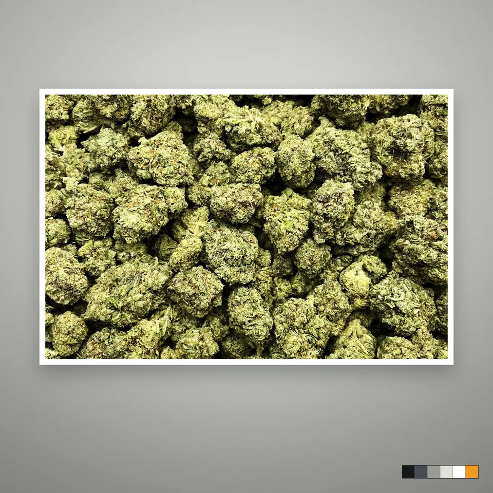 G41 THCA flower, greenhouse, the lot as it grades, print on a grey card