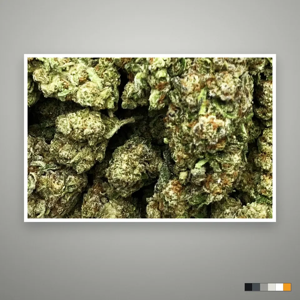 Glitter Bomb THCA flower, light-dep, the lot as it grades, print on a grey card