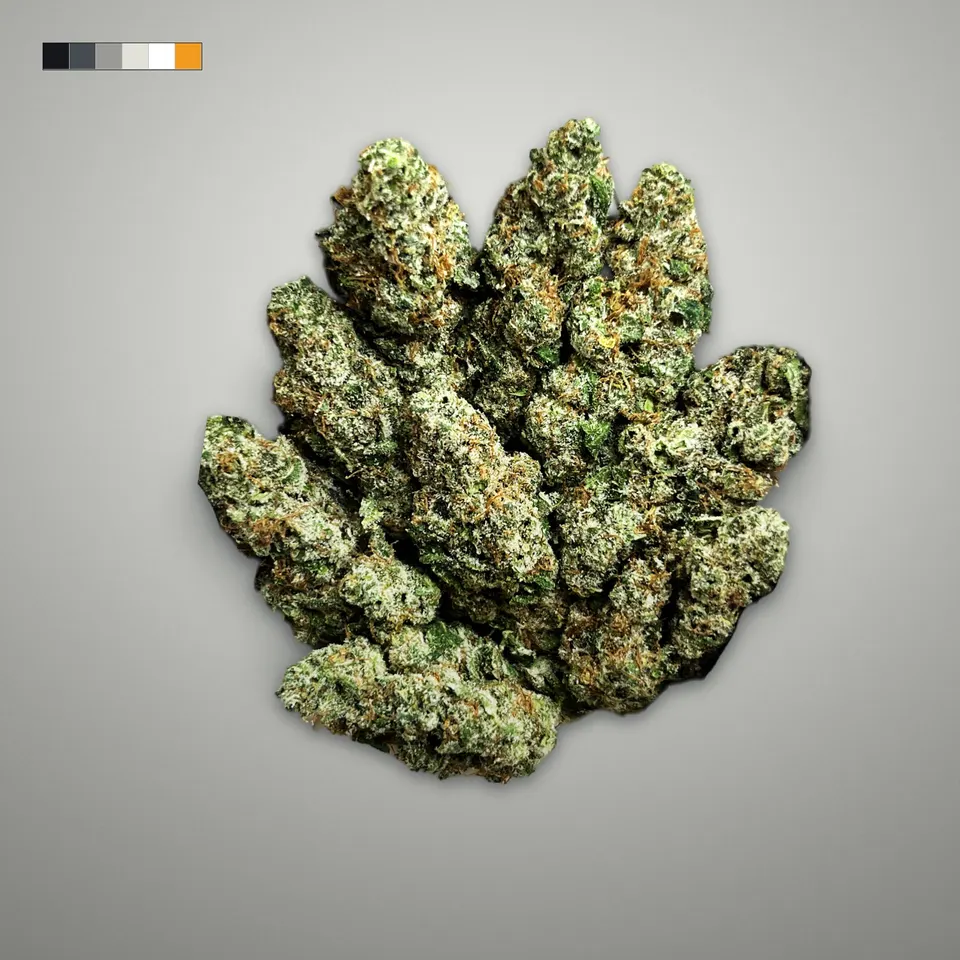 Glue Dawg THCA flower, greenhouse, on a grey card
