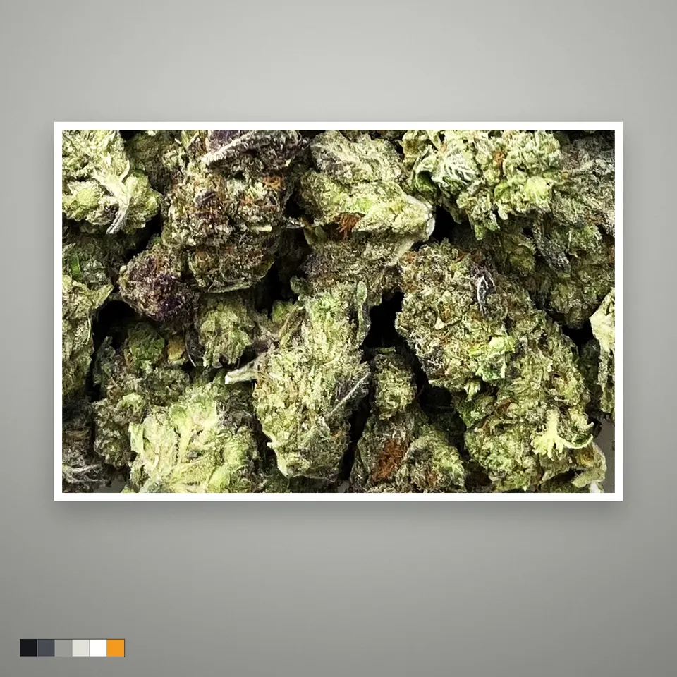 GMO THCA flower, light-dep, the lot as it grades, print on a grey card