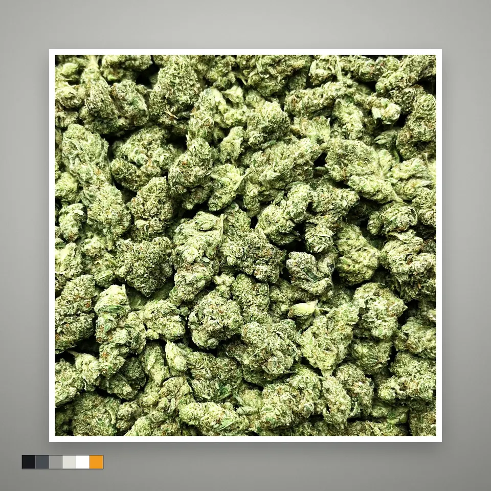 Gorilla Funk THCA flower, greenhouse, on a grey card