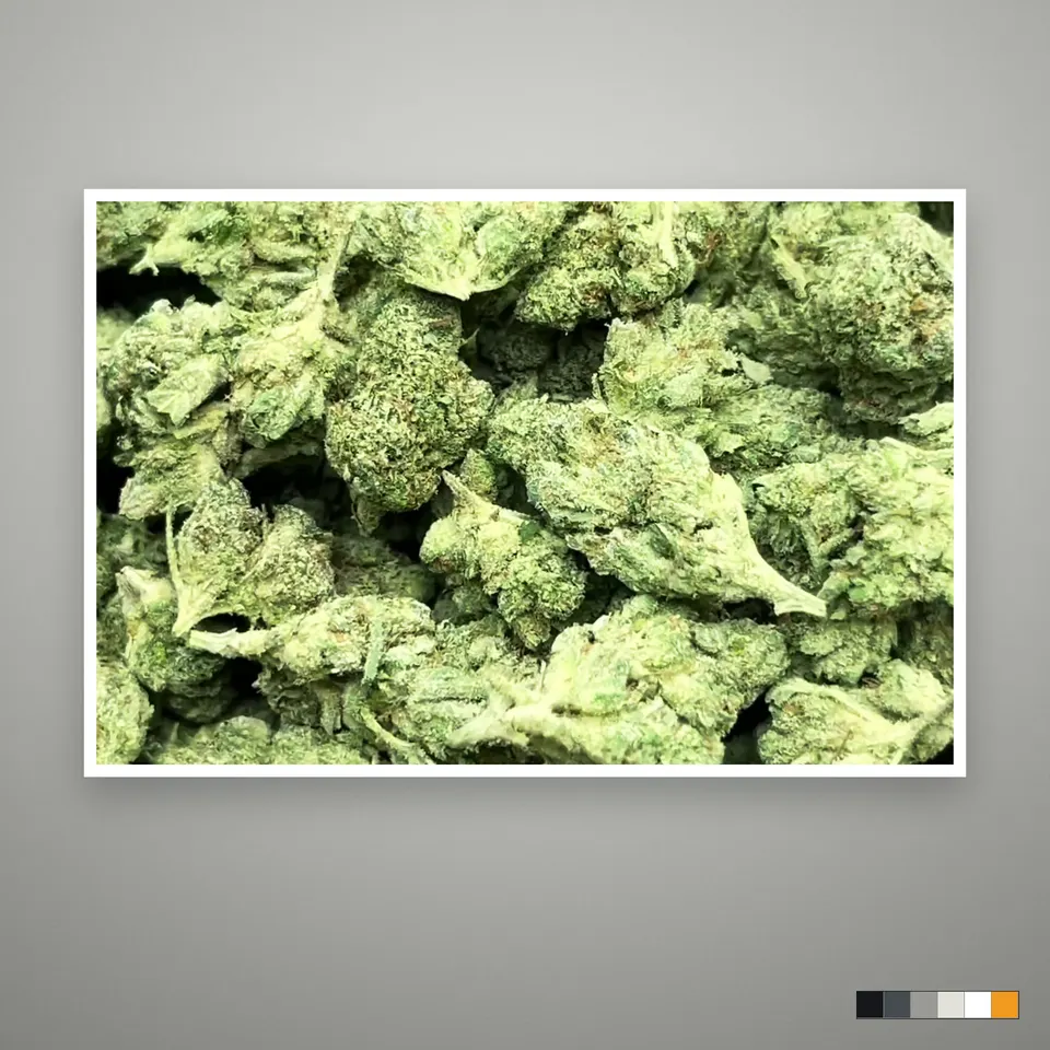 Gorilla Funk THCA flower, greenhouse, the lot as it grades, print on a grey card
