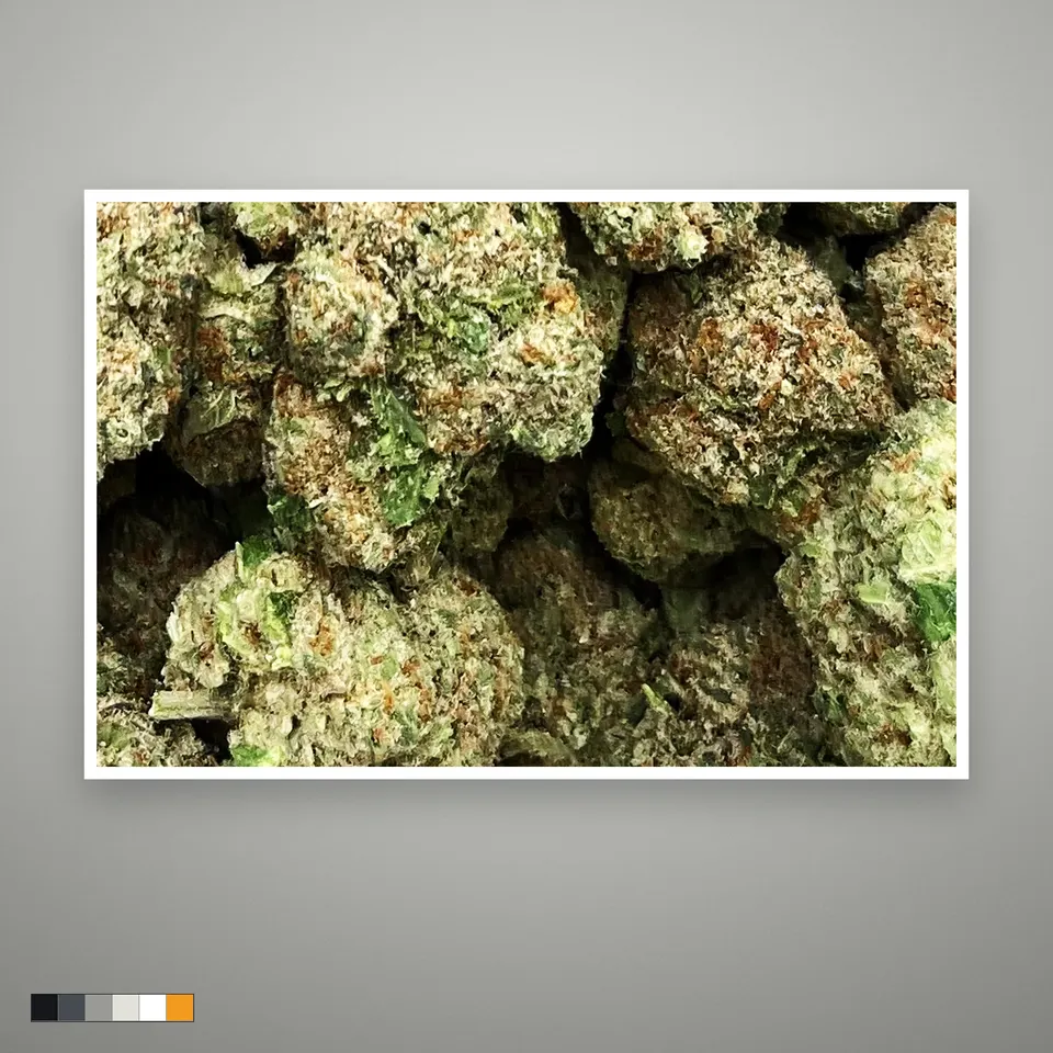 Illemonati THCA flower, light-dep, the lot as it grades, print on a grey card