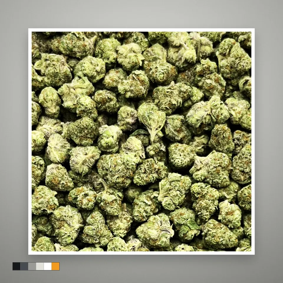 Kept Secret THCA flower, smalls, on a grey card