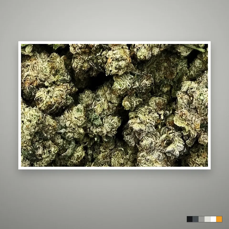 LA Push Pop THCA flower, indoor, the lot as it grades, print on a grey card