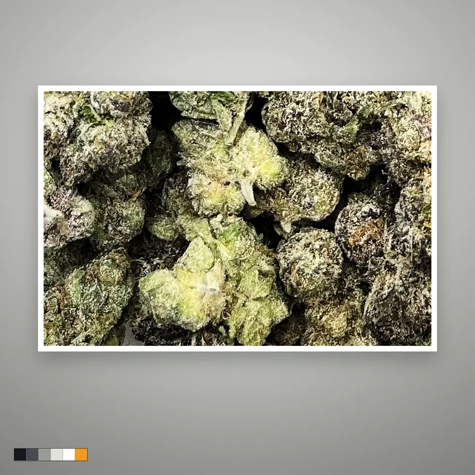 LCG THCA flower, indoor, the lot as it grades, print on a grey card