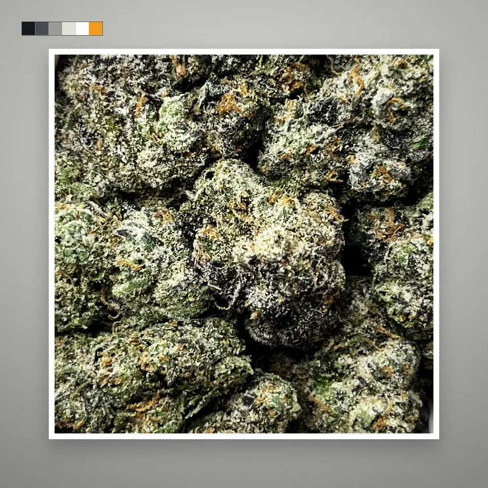 LCG THCA flower, indoor, on a grey card