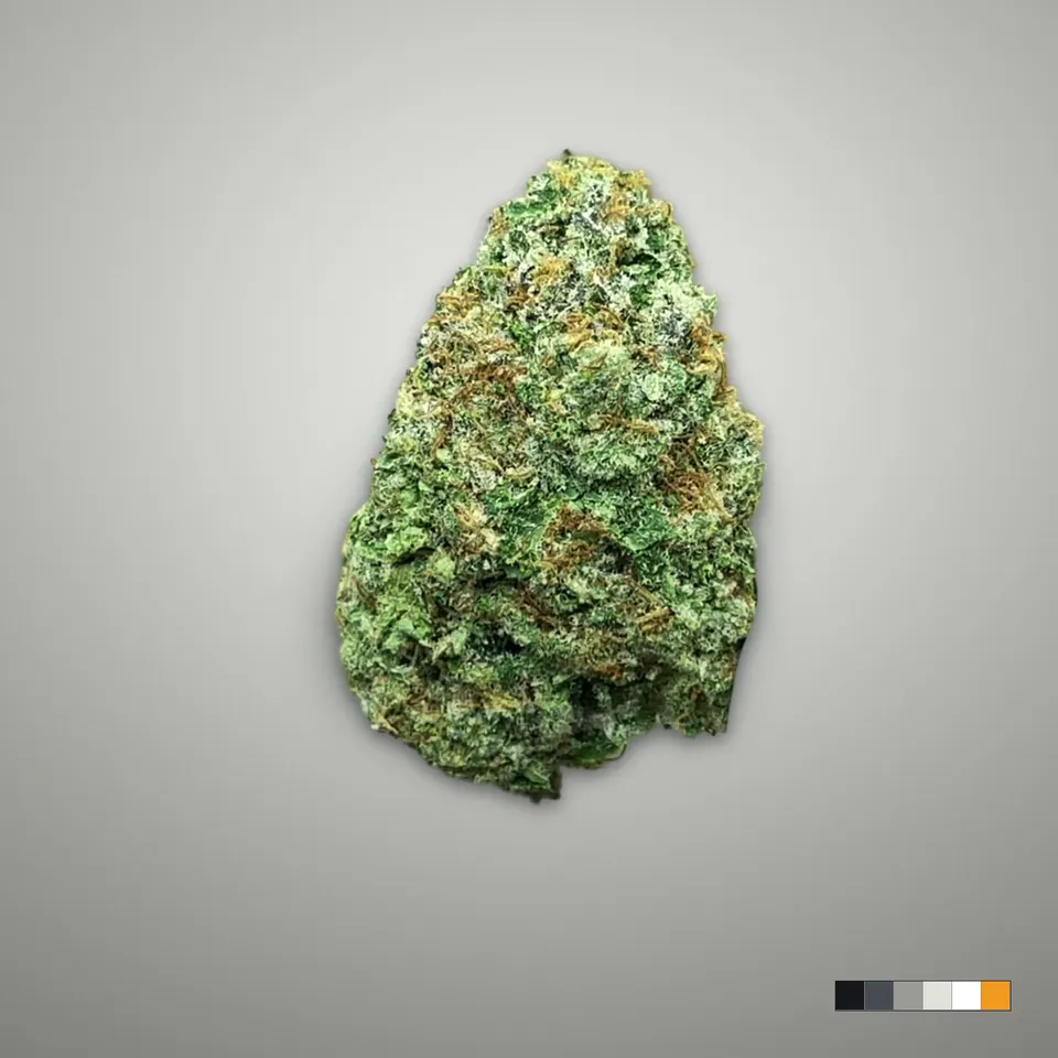 Lemon Mintz THCA flower, indoor, on a grey card