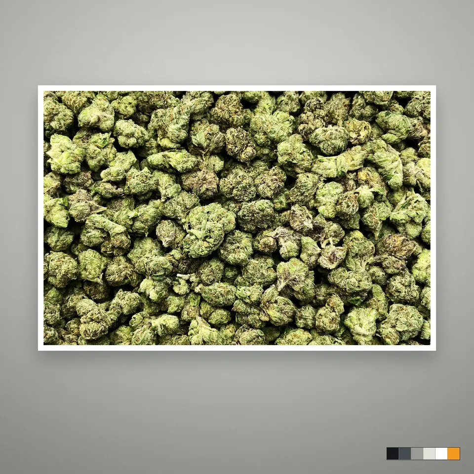 LFG THCA flower, greenhouse, the lot as it grades, print on a grey card