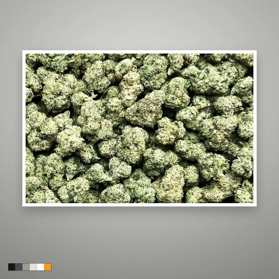 LFG THCA flower, indoor, the lot as it grades, print on a grey card