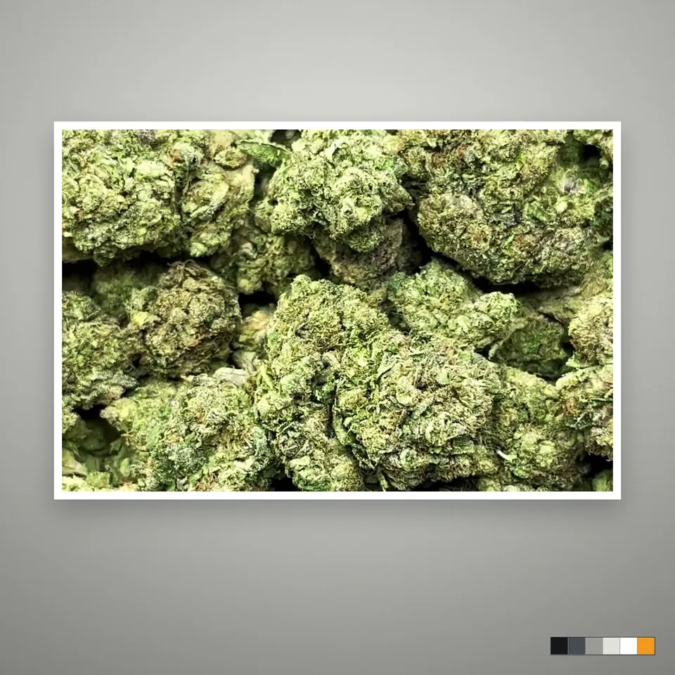 Lipsmackers THCA flower, light-dep, the lot as it grades, print on a grey card