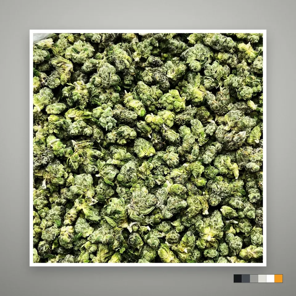 MOB THCA flower, smalls, on a grey card