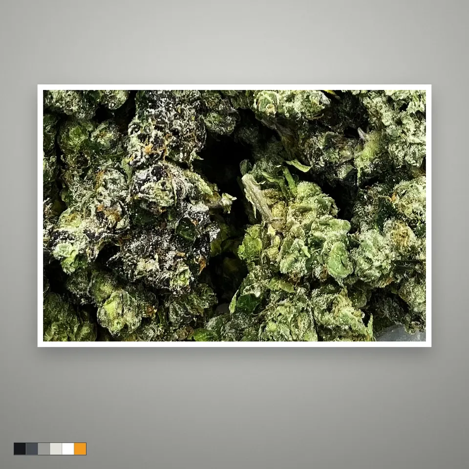 MOB THCA flower, indoor, the lot as it grades, print on a grey card