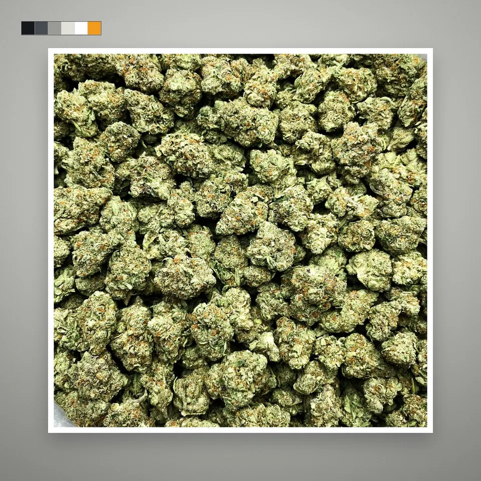 Pineapple Express THCA flower, indoor, on a grey card, lot 1