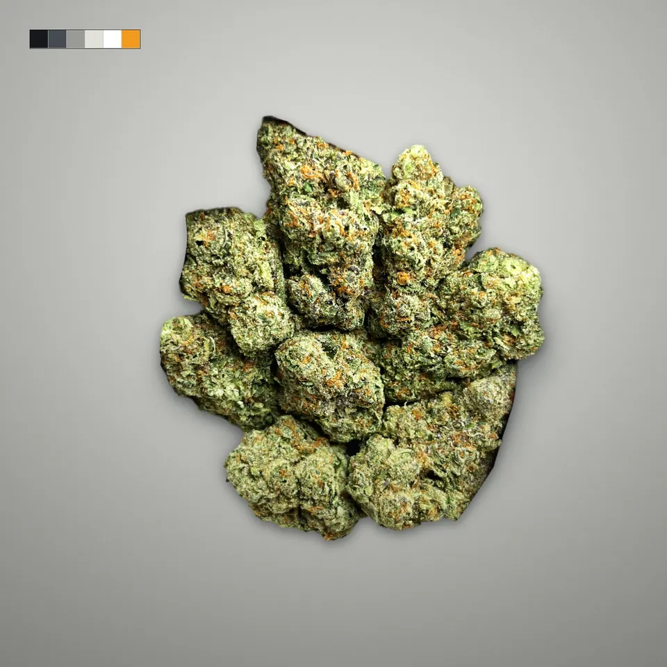 Pineapple Express THCA flower, indoor, on a grey card, lot 2