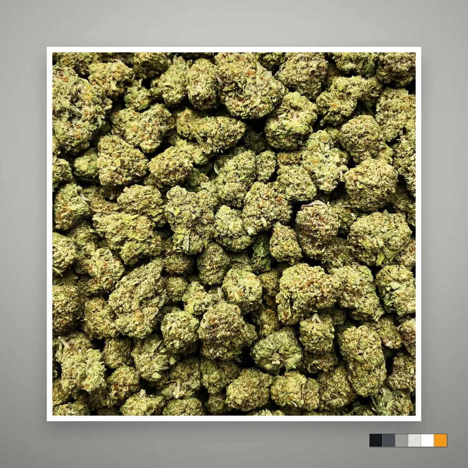 Punch Breath THCA flower, greenhouse, on a grey card