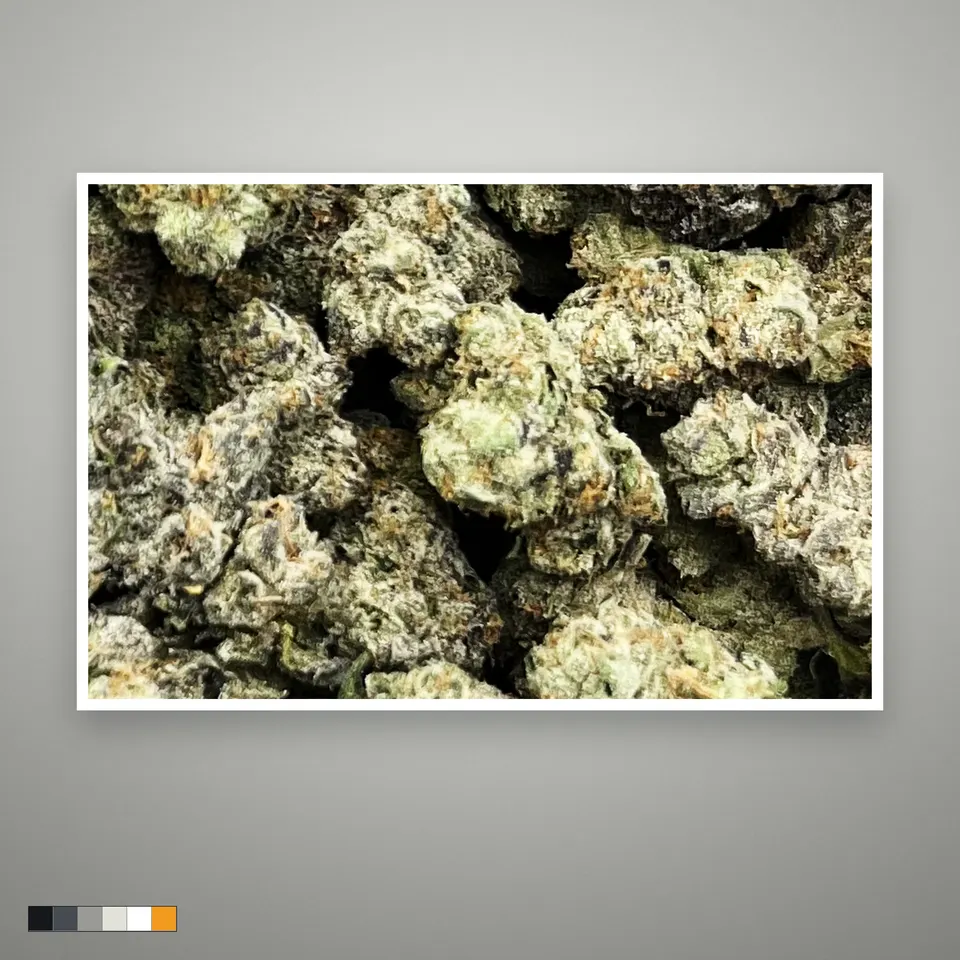 Purple Society THCA flower, indoor, the lot as it grades, print on a grey card