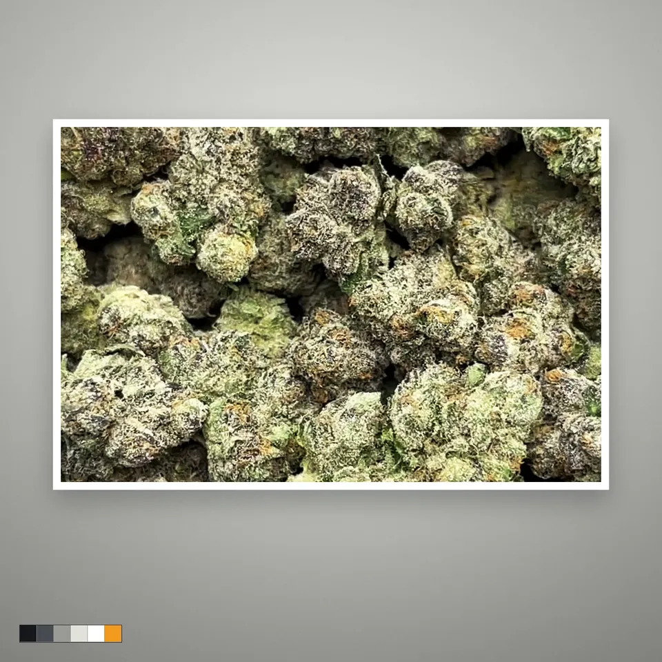 Red Lemon THCA flower, indoor, the lot as it grades, print on a grey card