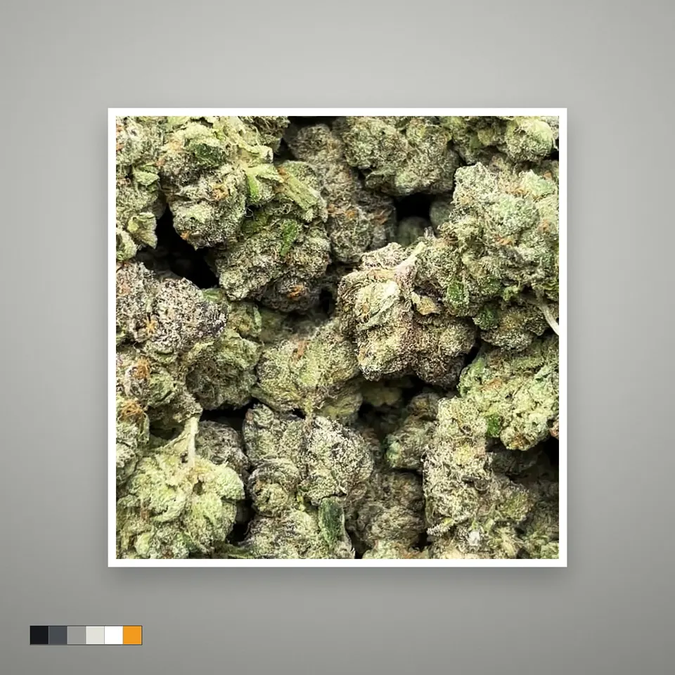 Red Lemon THCA flower, indoor, on a grey card