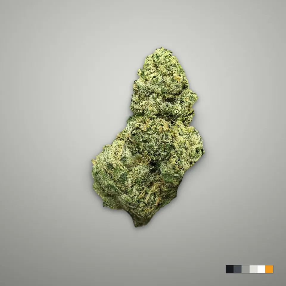 Sin Mintz THCA flower, indoor, on a grey card