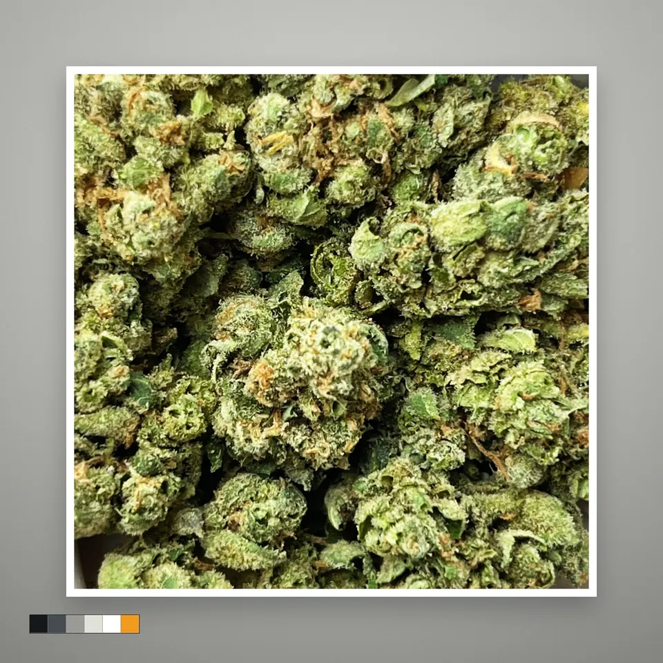 Sour D Mix THCA flower, indoor, on a grey card