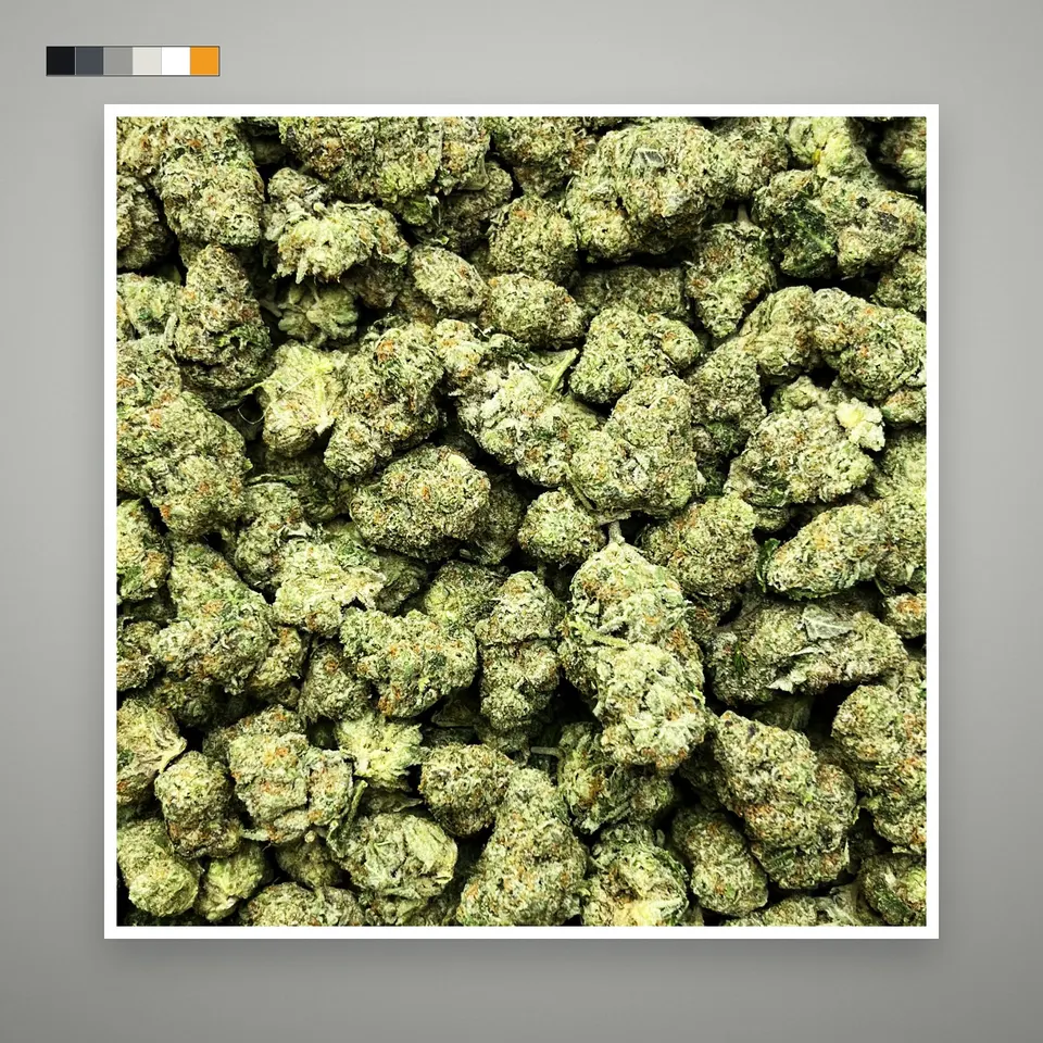 Space Rocks THCA flower, greenhouse, on a grey card