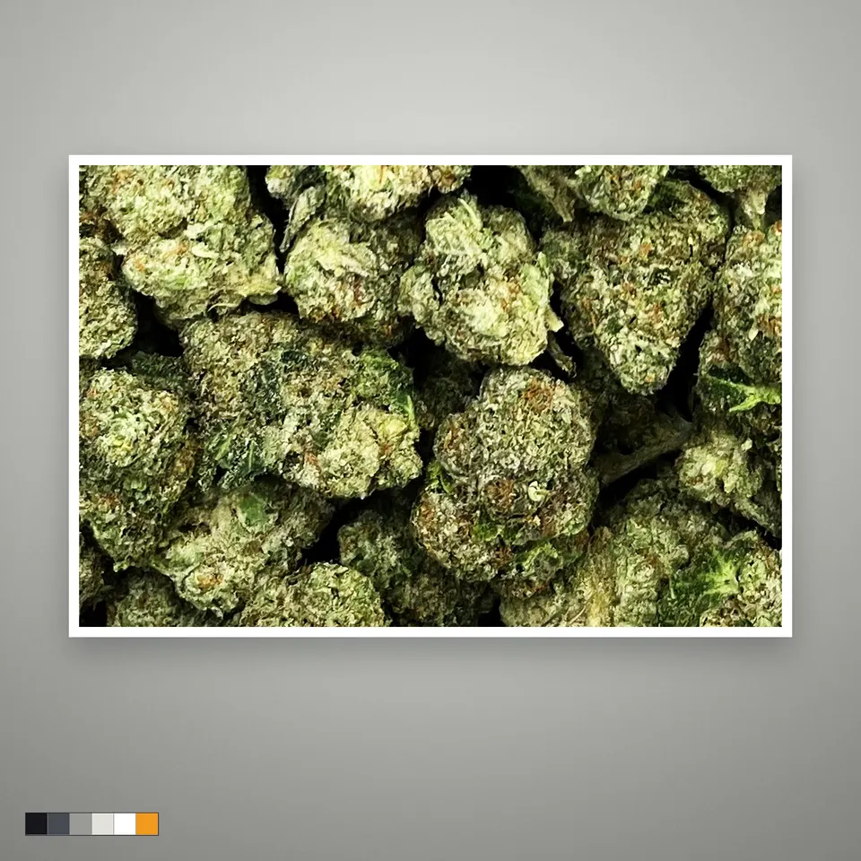 Space Rocks THCA flower, greenhouse, the lot as it grades, print on a grey card