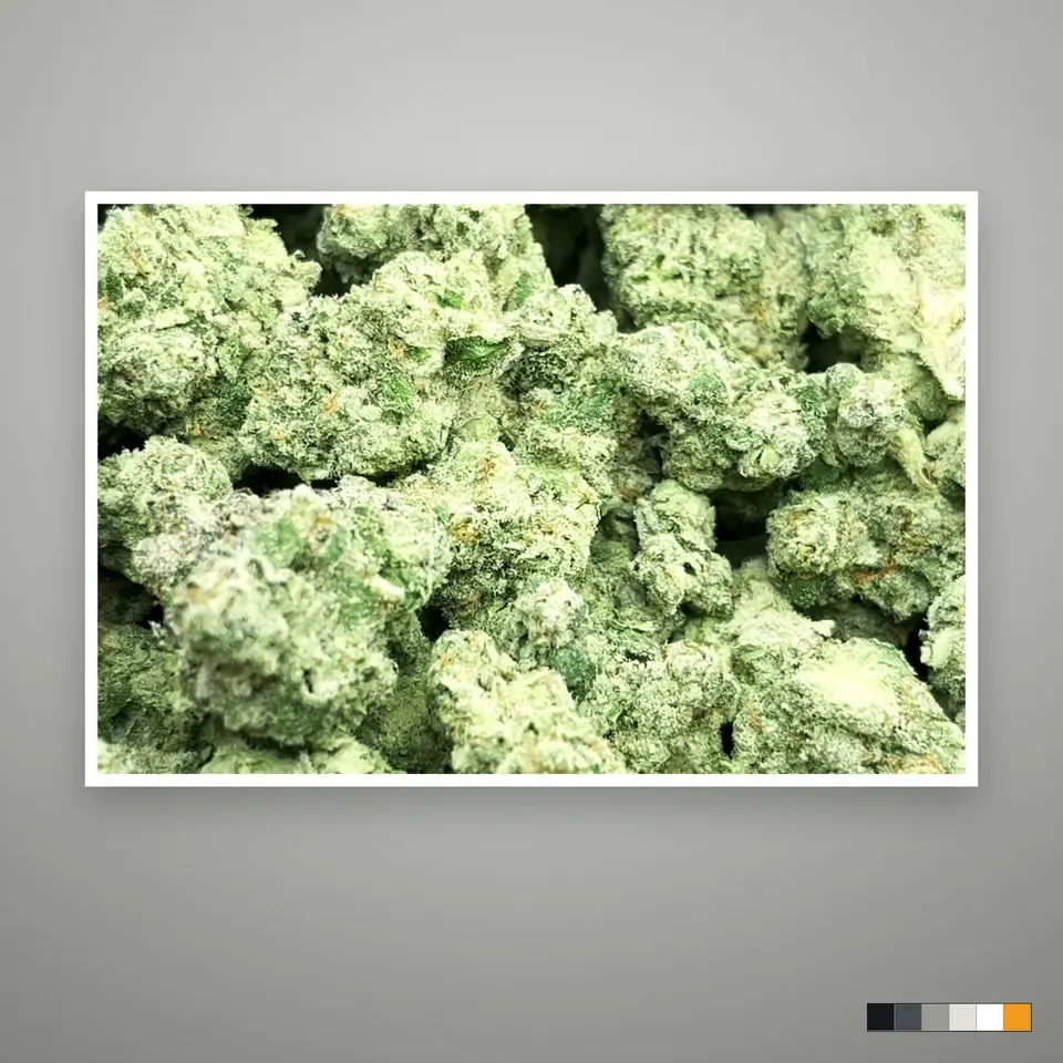 Spash THCA flower, indoor, the lot as it grades, print on a grey card