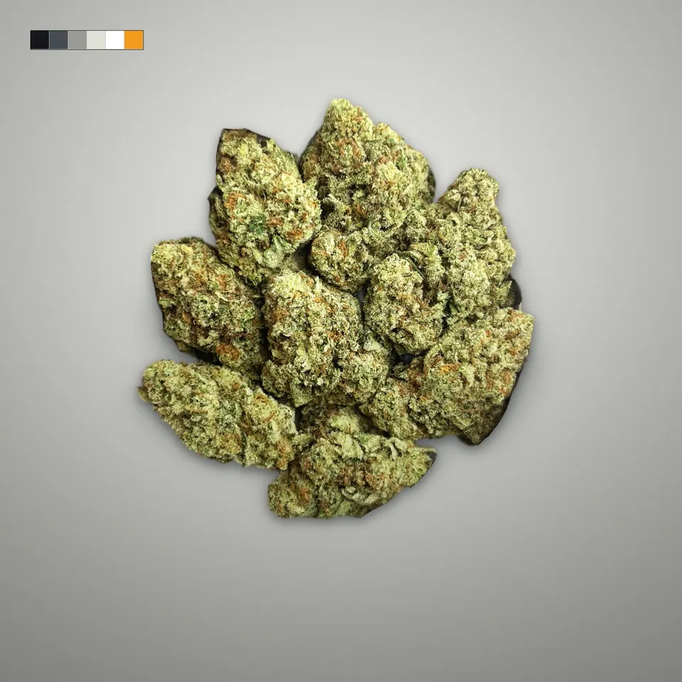 Tropicana THCA flower, greenhouse, on a grey card