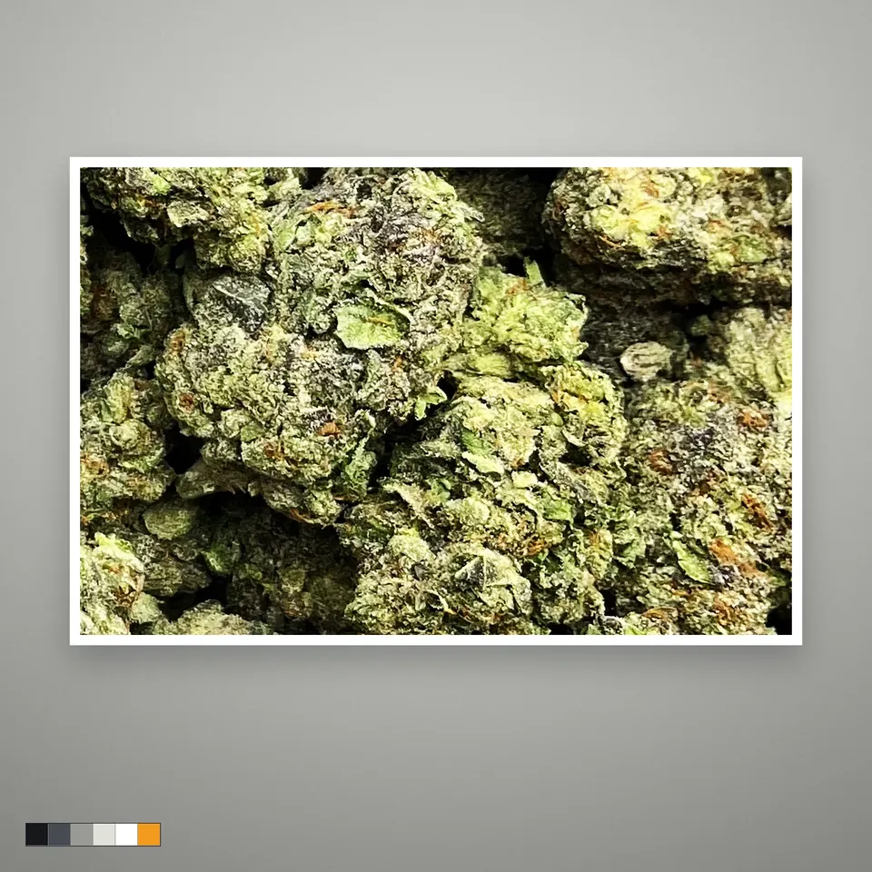 Wedding Pie THCA flower, greenhouse, the lot as it grades, print on a grey card