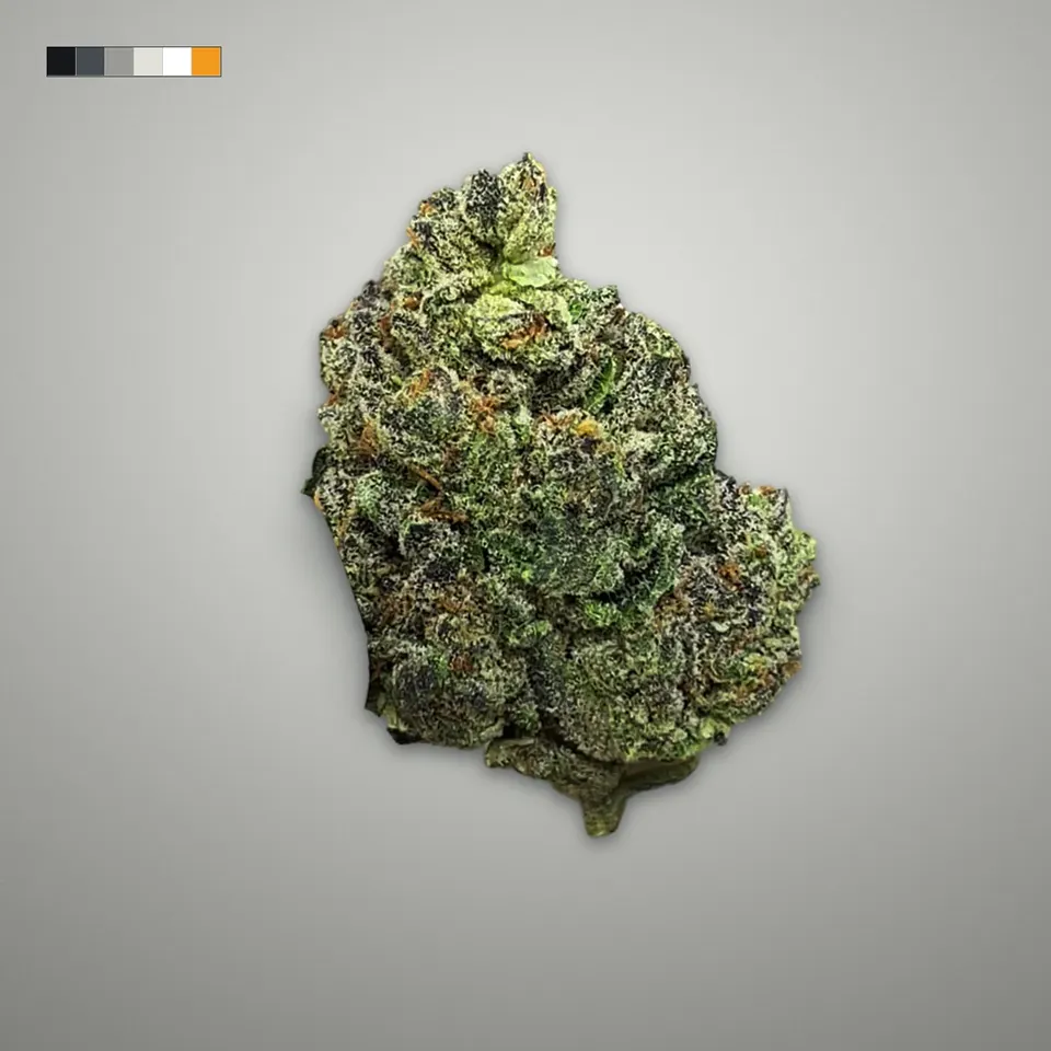Wedding Pie THCA flower, greenhouse, on a grey card