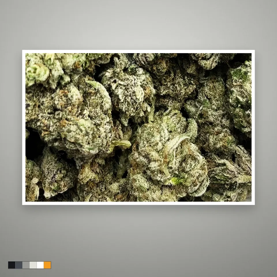 Zonutz THCA flower, indoor, the lot as it grades, print on a grey card