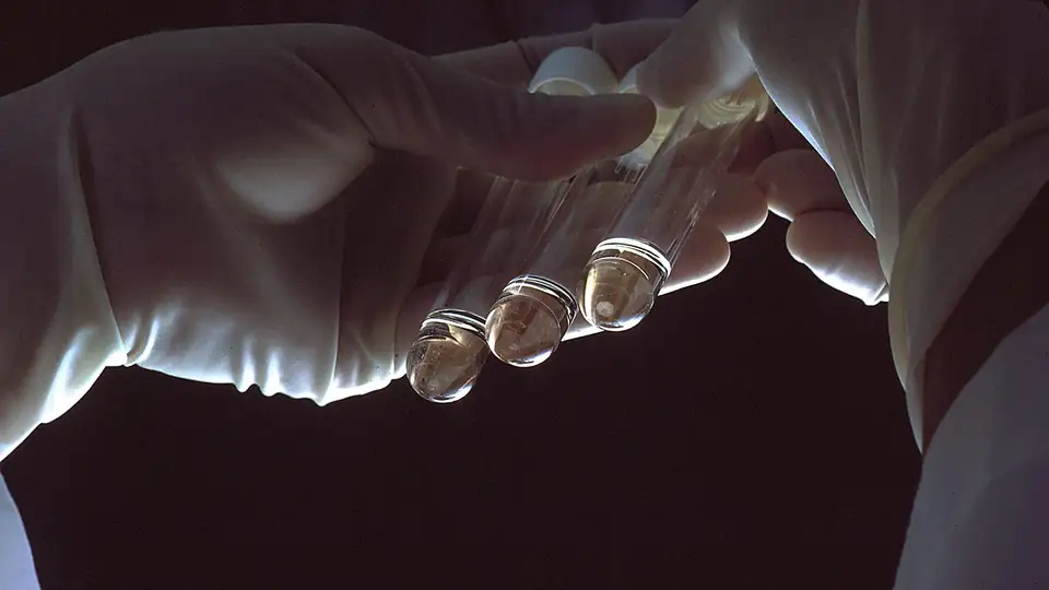 Gloved hand holding sample vials against backlight
