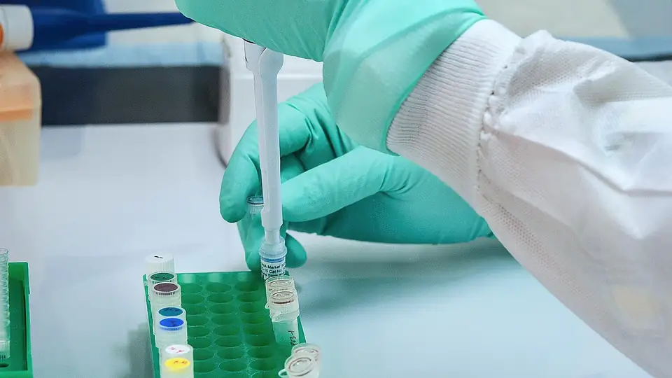 Gloved hand pipetting into sample tubes
