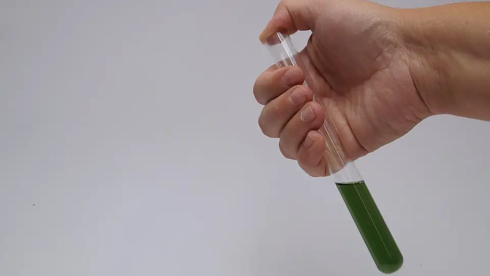 Hand holding a test tube of green liquid